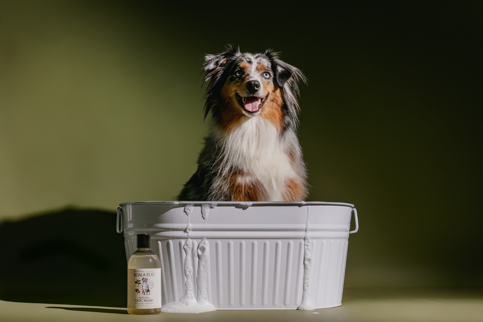 Stress-Free & Mess-Free: How To Give Your Dog A Bath