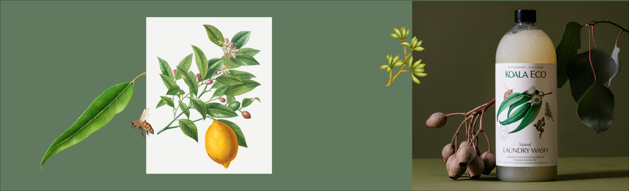 The Sunday Reset - Inspired by Lemon Scented Eucalyptus