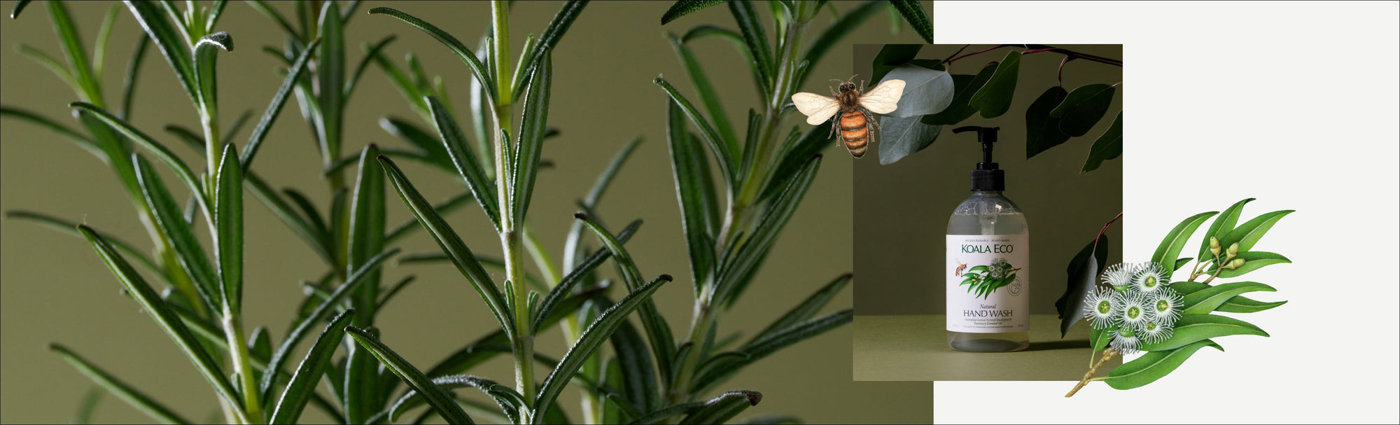 Are natural hand soaps effective?