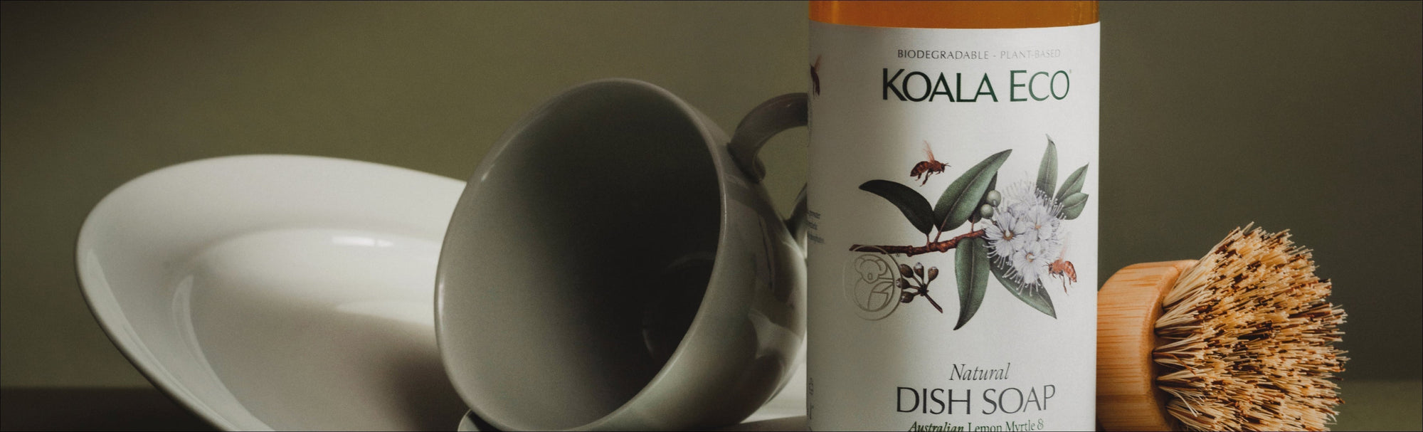 A Koala Eco Clean - tackling the trickiest household appliances