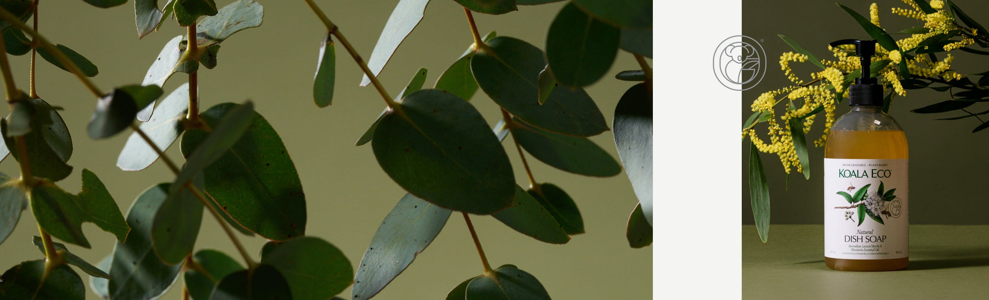 What dish soap is safe for plants?