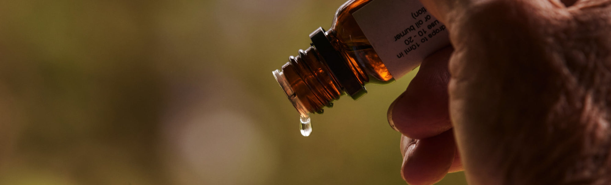 Art and science, in essence