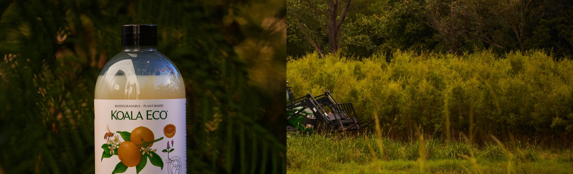 Letting the six seasons guide us