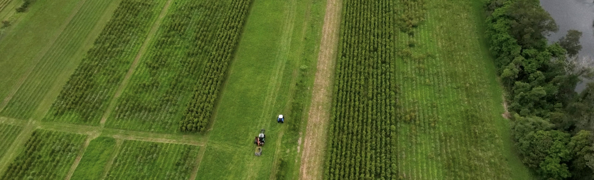 Our work is loving the world