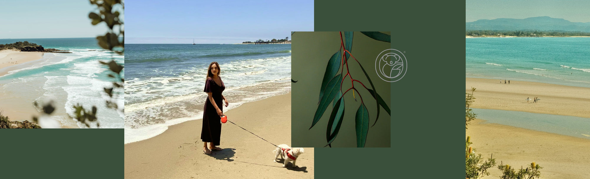 Nature as Medicine: A Conversation with Dr. Nigma Talib