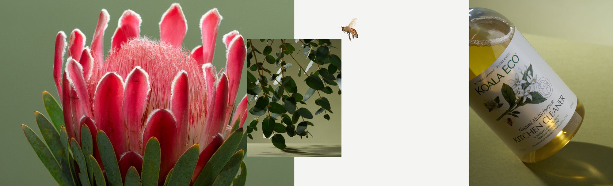 Nature’s balance of familiarity and awe