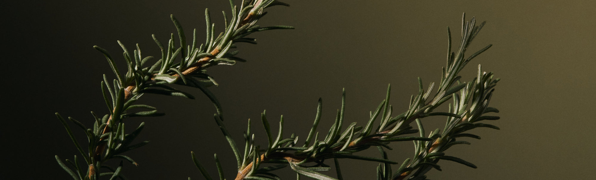 ‘Practicing’ what they ‘preach’