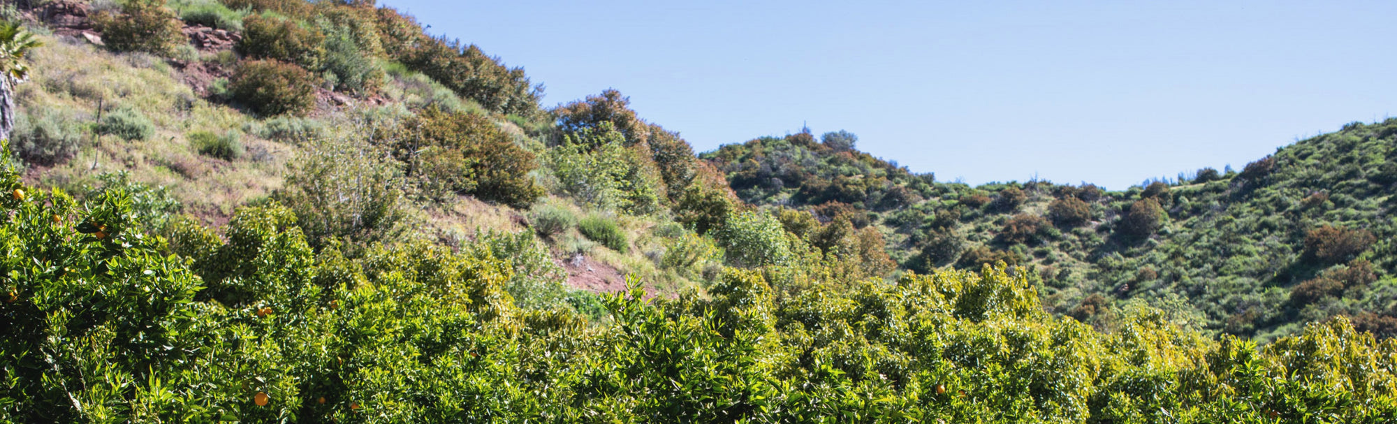 What the season brings and how you can make the most of it