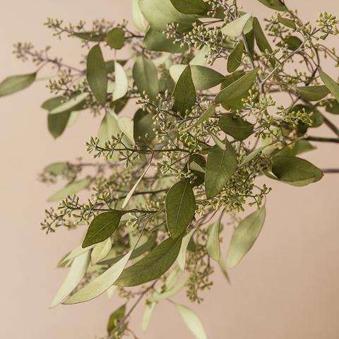 toxin free, plant based, non toxic, natural, essential oils, eco friendly, earth safe, cleaning, biodegradable