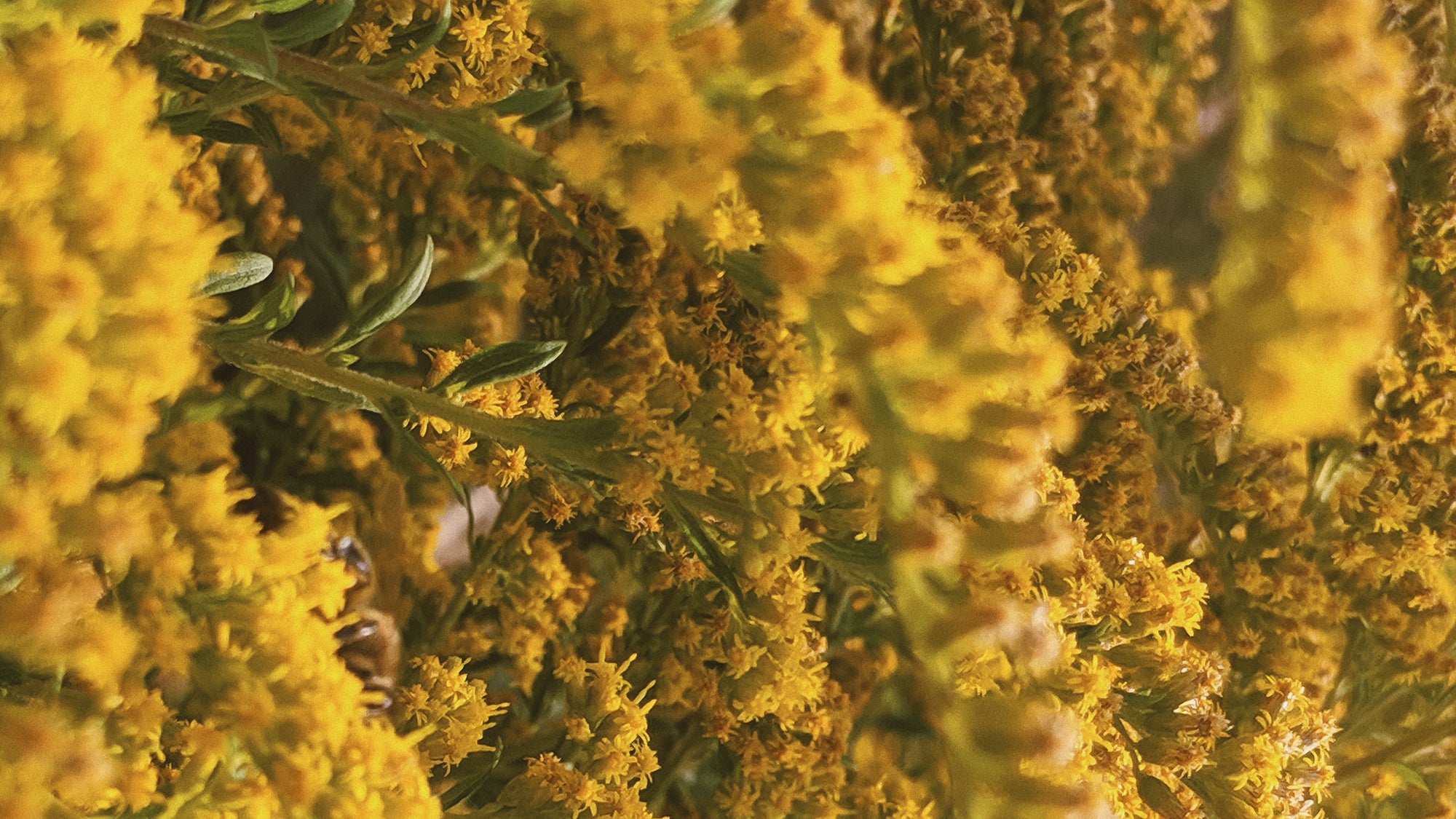 Motherhood & Our Innate Connection with Mother Earth