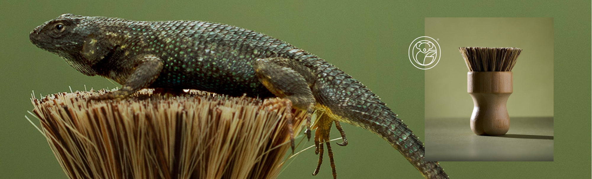 Give kitchen sponges the flick