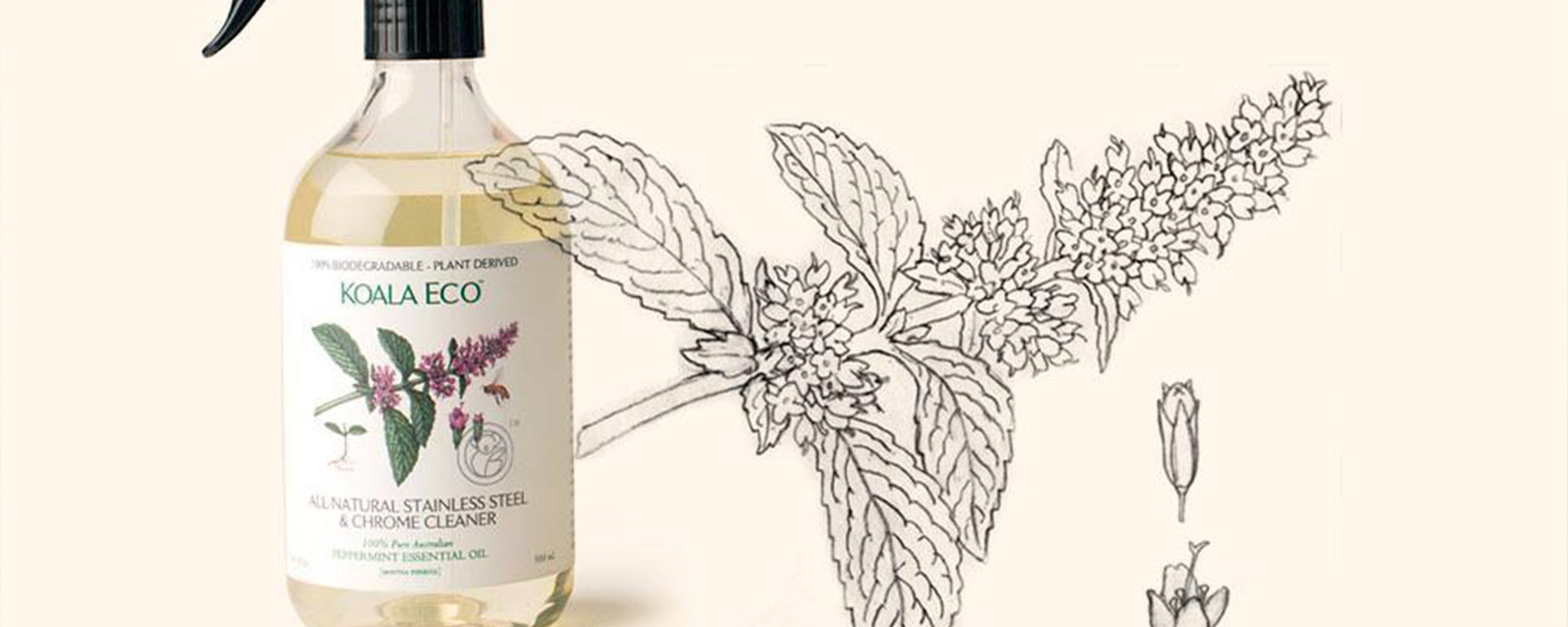 Be Green, Feel Clean