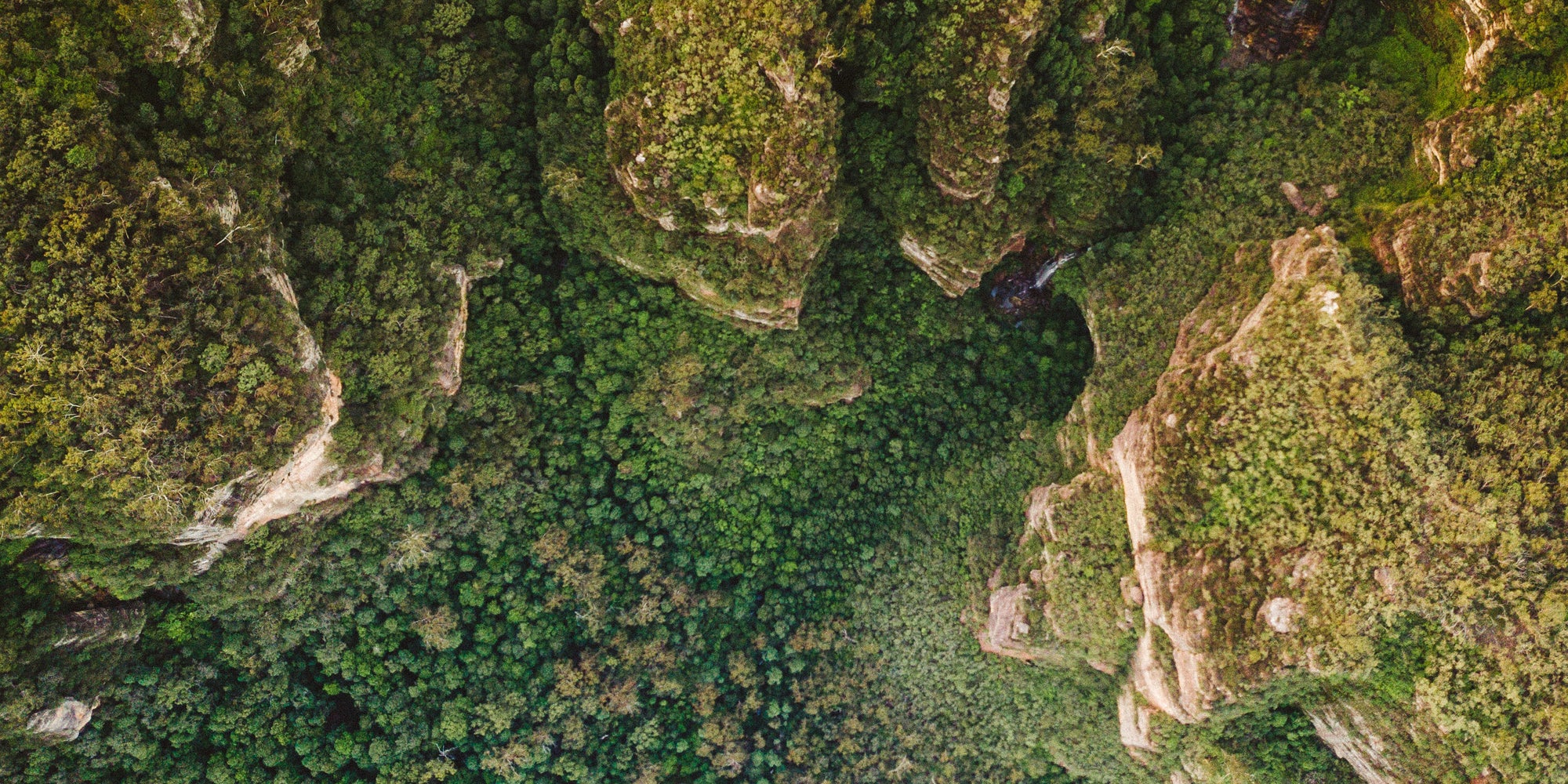 When we return to nature, we return to ourselves