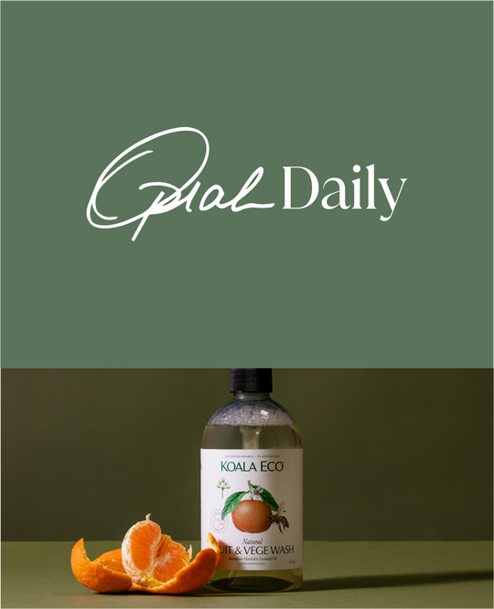 Oprah Daily | 36 Eco-Friendly Products to Help You Live Sustainably Every Day