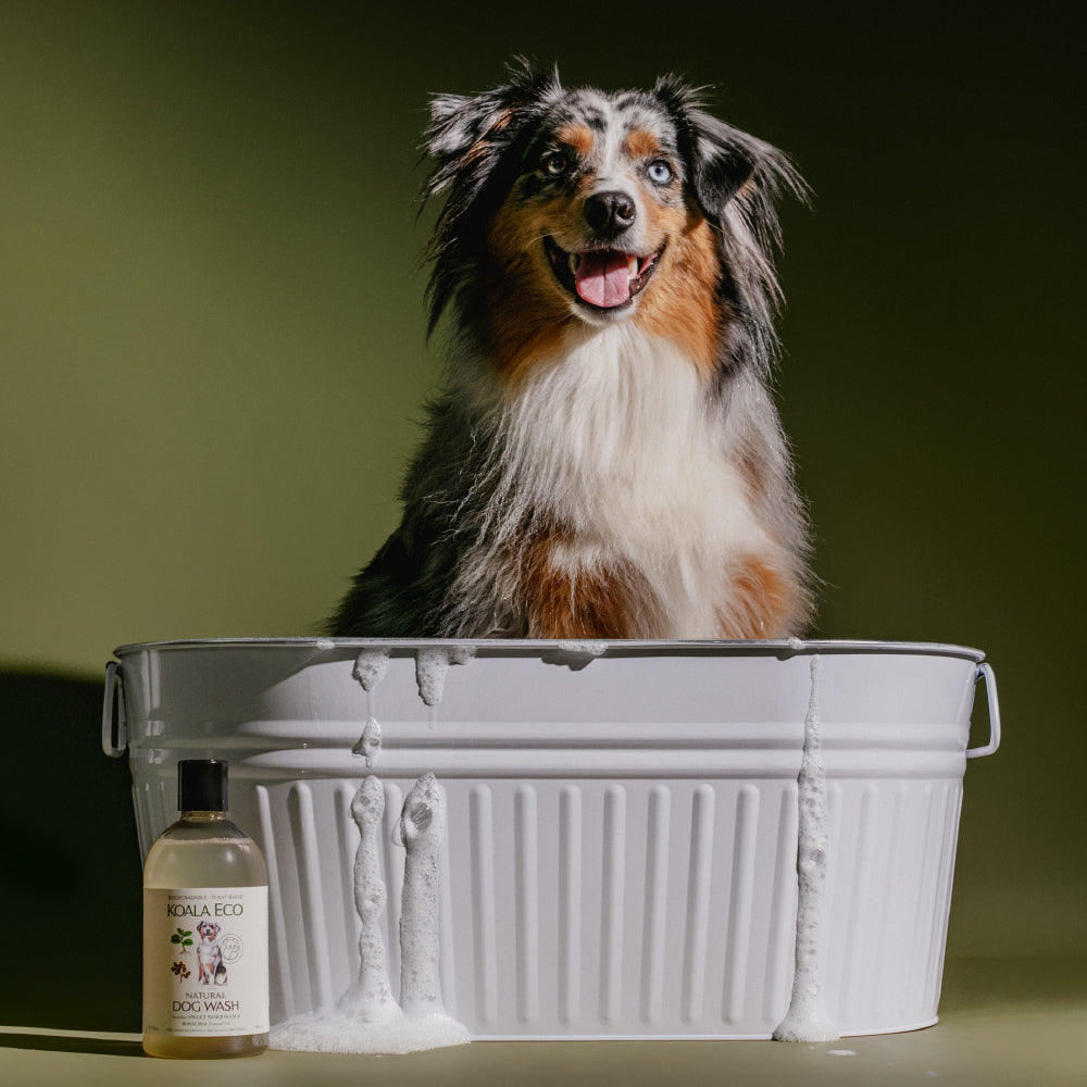 Natural Dog Wash