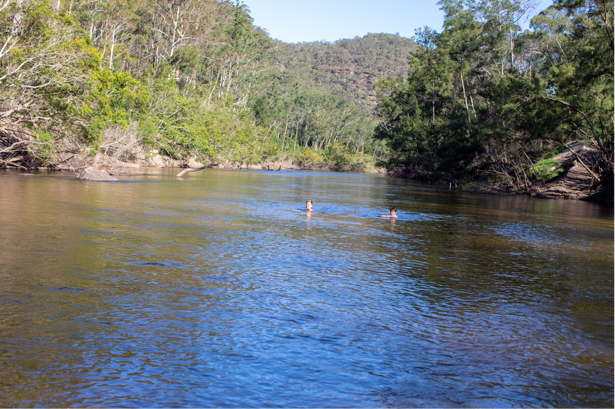 Feeling blue? Going green (and blue) with nature therapy can improve your mental health