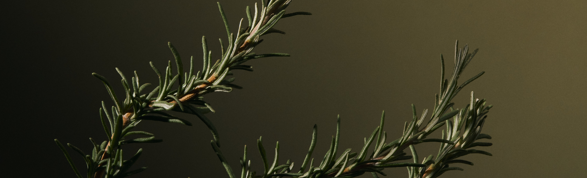 How to Eliminate Synthetic Fragrance from your Home, Naturally