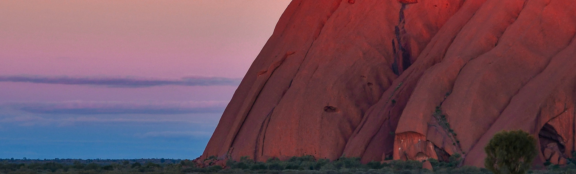 Intelligence and the Living World - Earth Day 2026