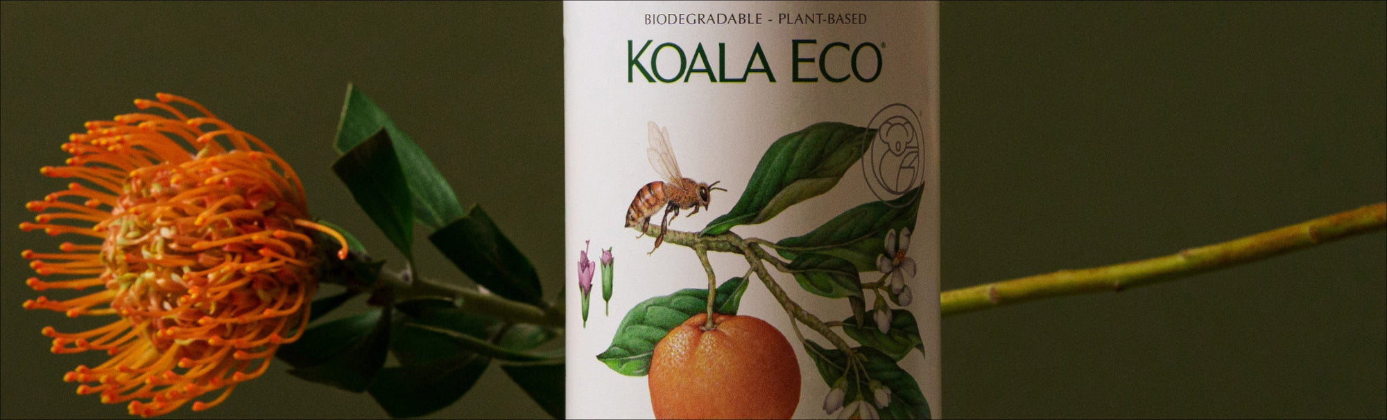 The Hidden Truth Behind "Clean" Scents