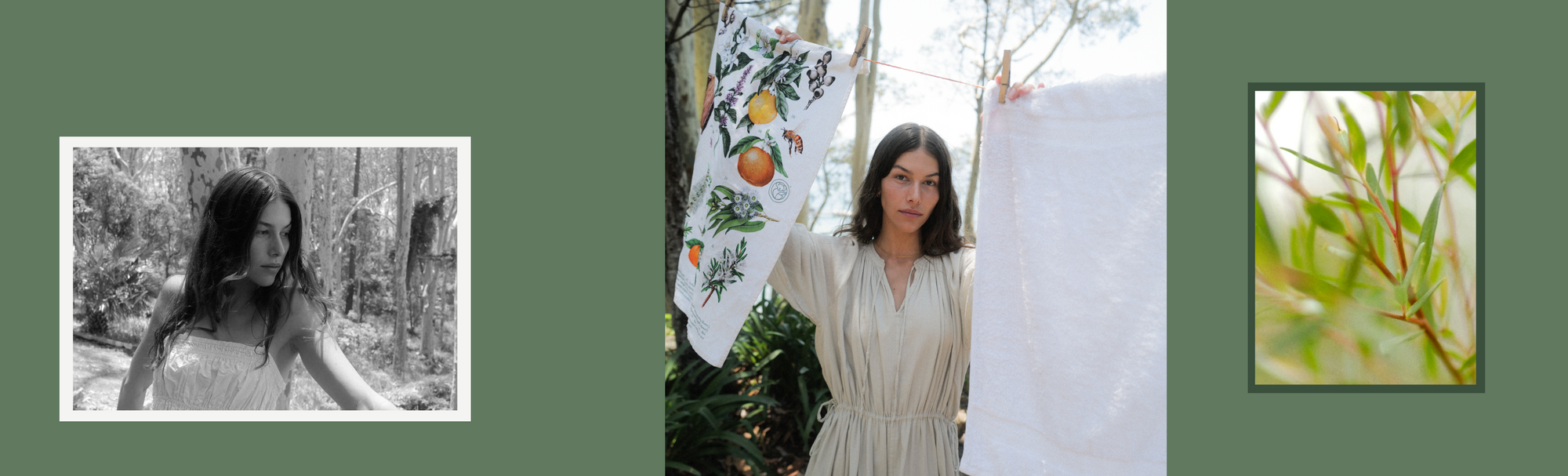 Why the Nervous System Loves Trees