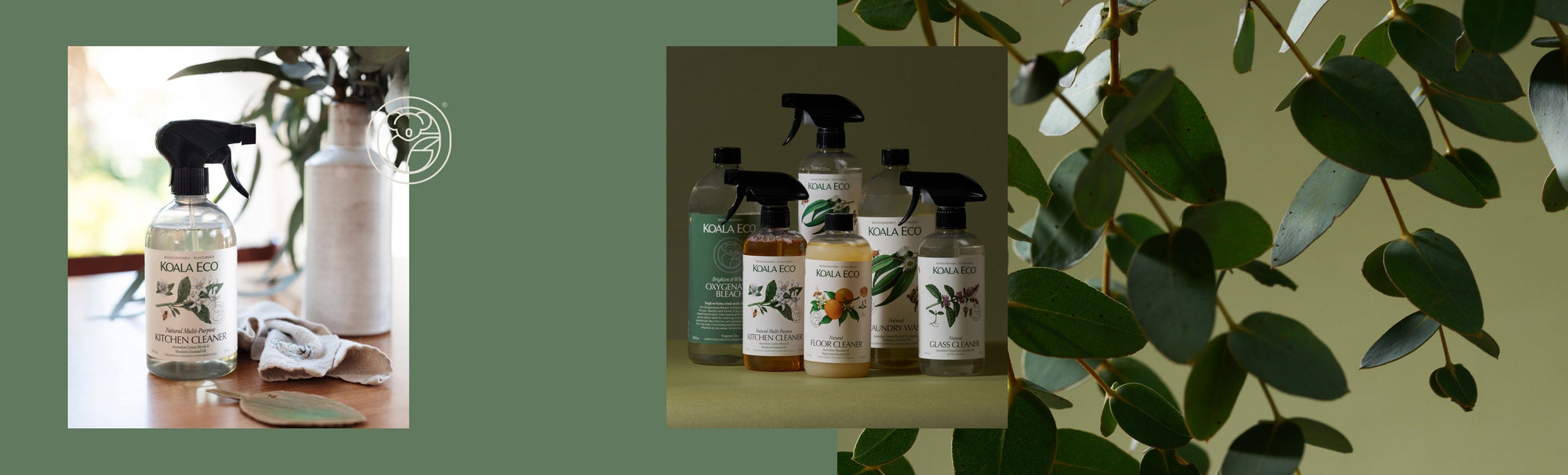 A Beginner’s Guide to Koala Eco