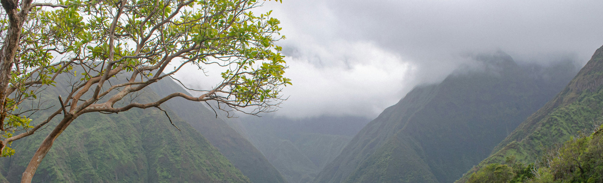 Land that heals and teaches