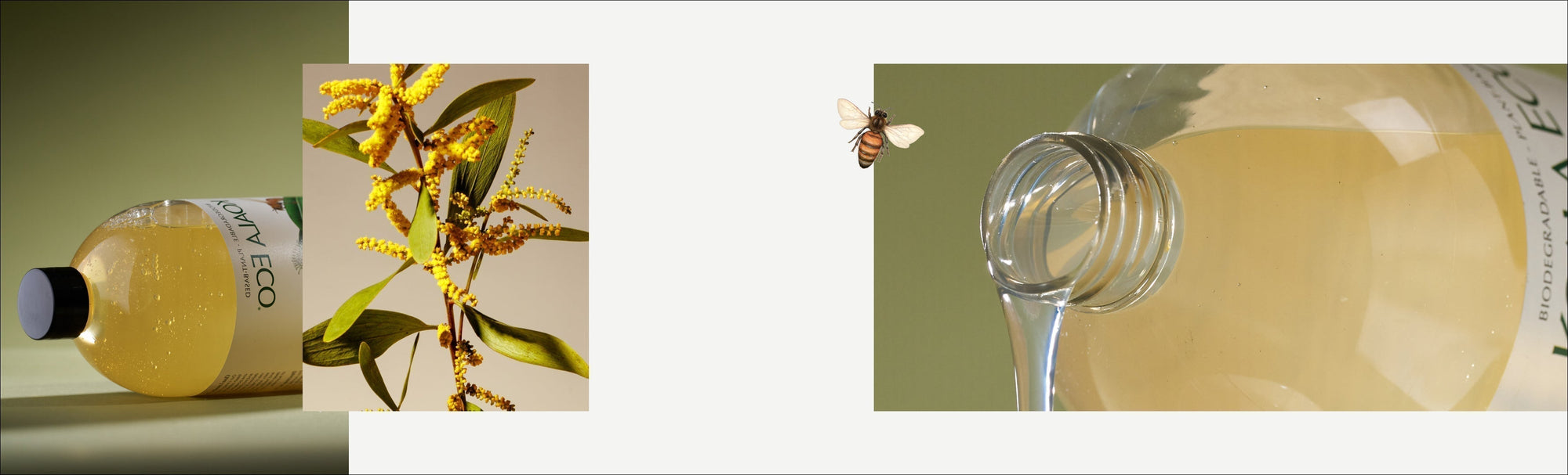 Do Natural Laundry Detergents Work? The Science of Koala Eco