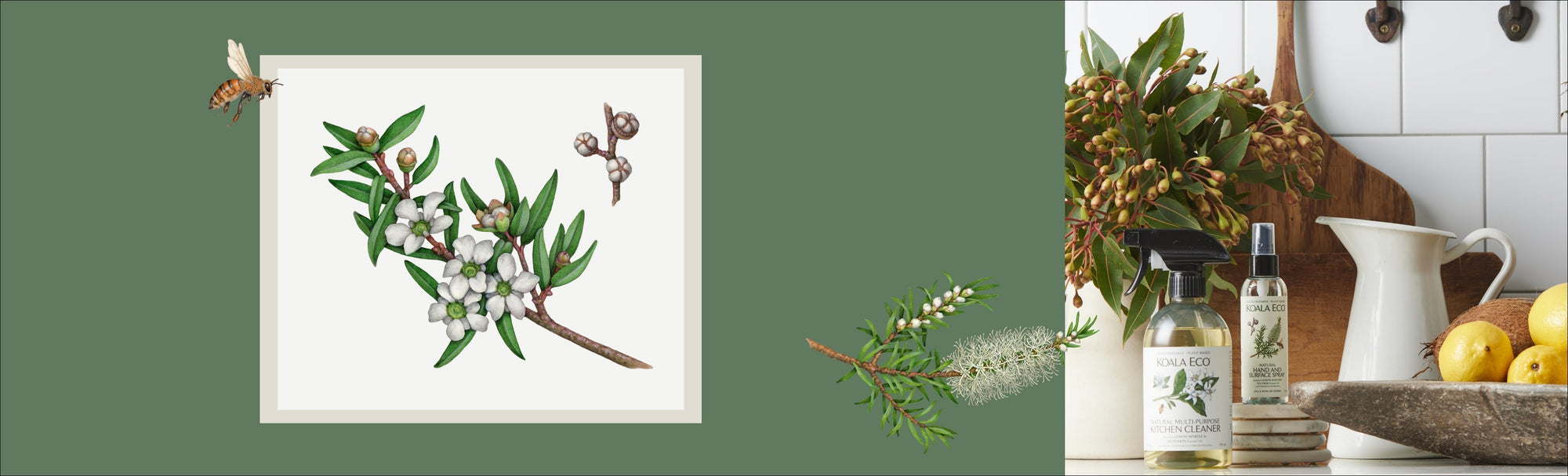 The Sunday Reset - Inspired by Lemon Scented Tea Tree [Leptospermum petersonii]