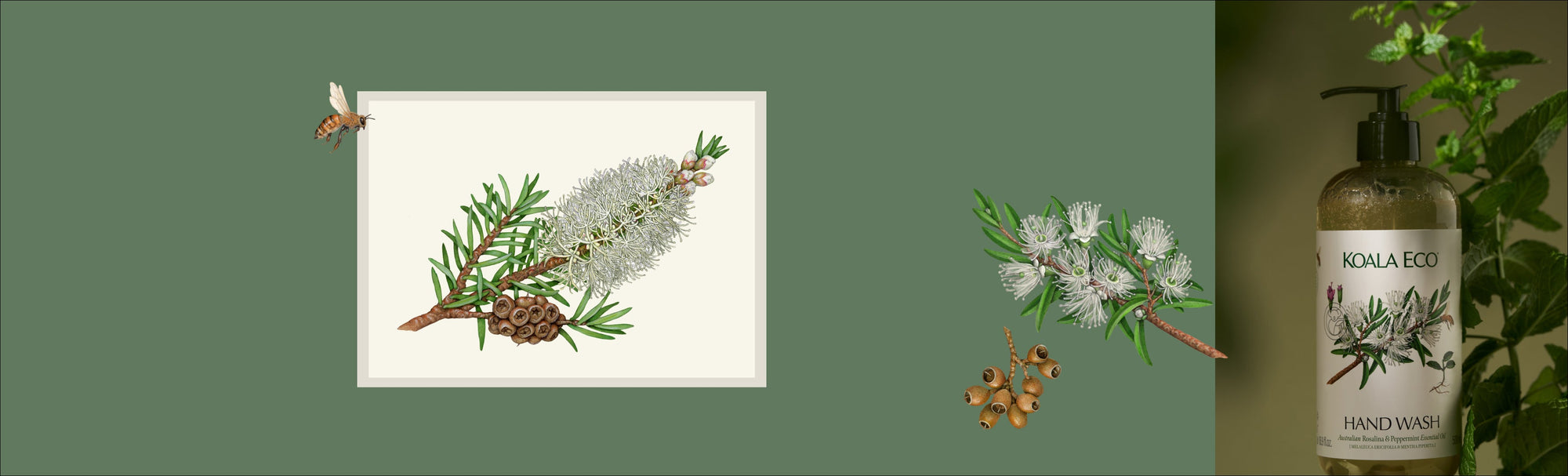 The Sunday Reset - Inspired by Rosalina [Melaleuca ericifolia]