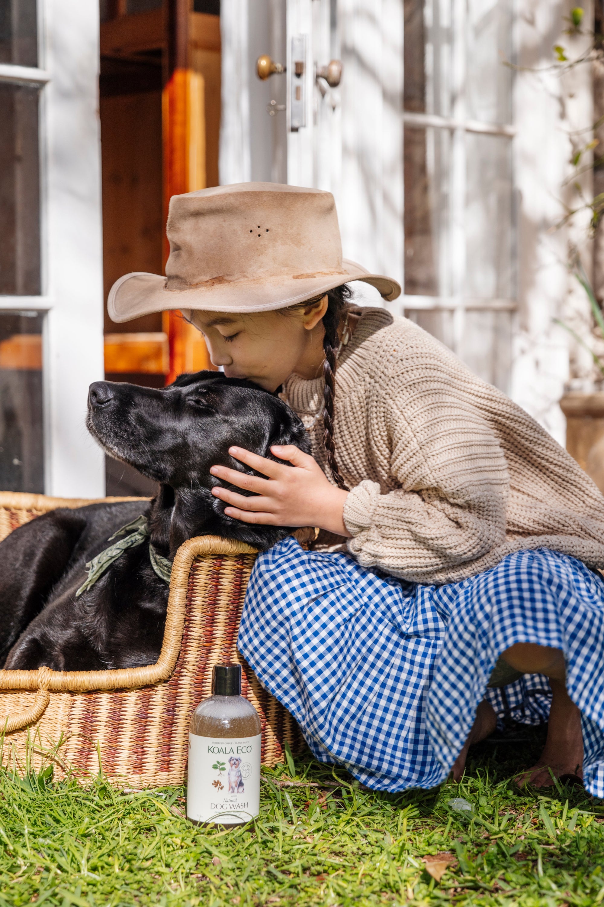 How to Clean Dog and Pet Bedding Naturally