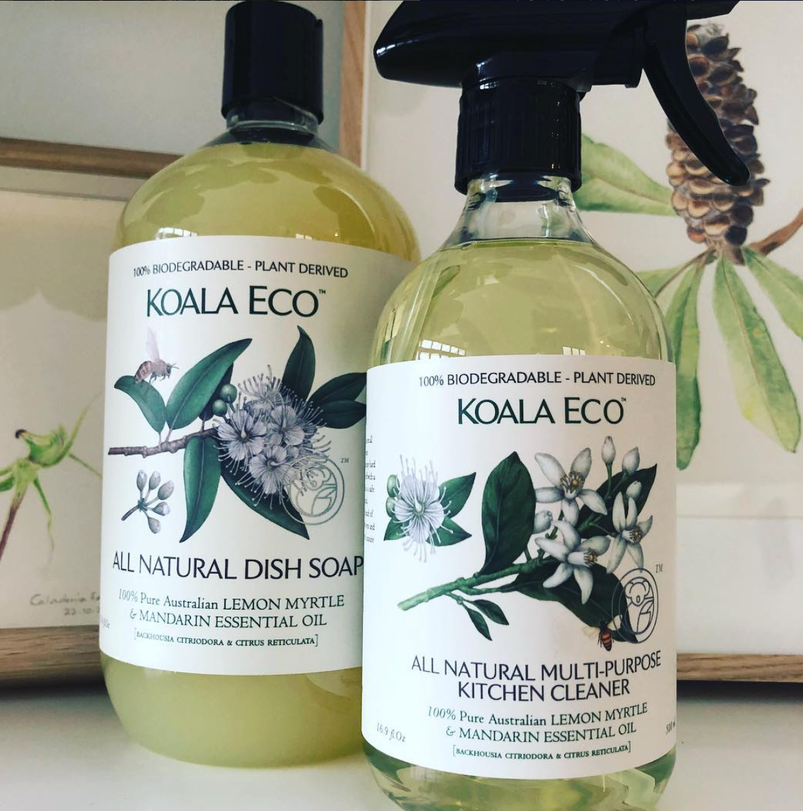 Kin & Kind meet the founder of Koala Eco, Jessica Bragdon