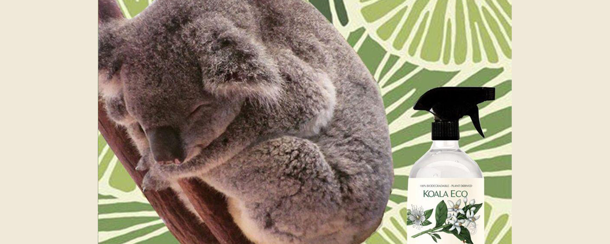 KOALA ECO: made in Australia, from Australia