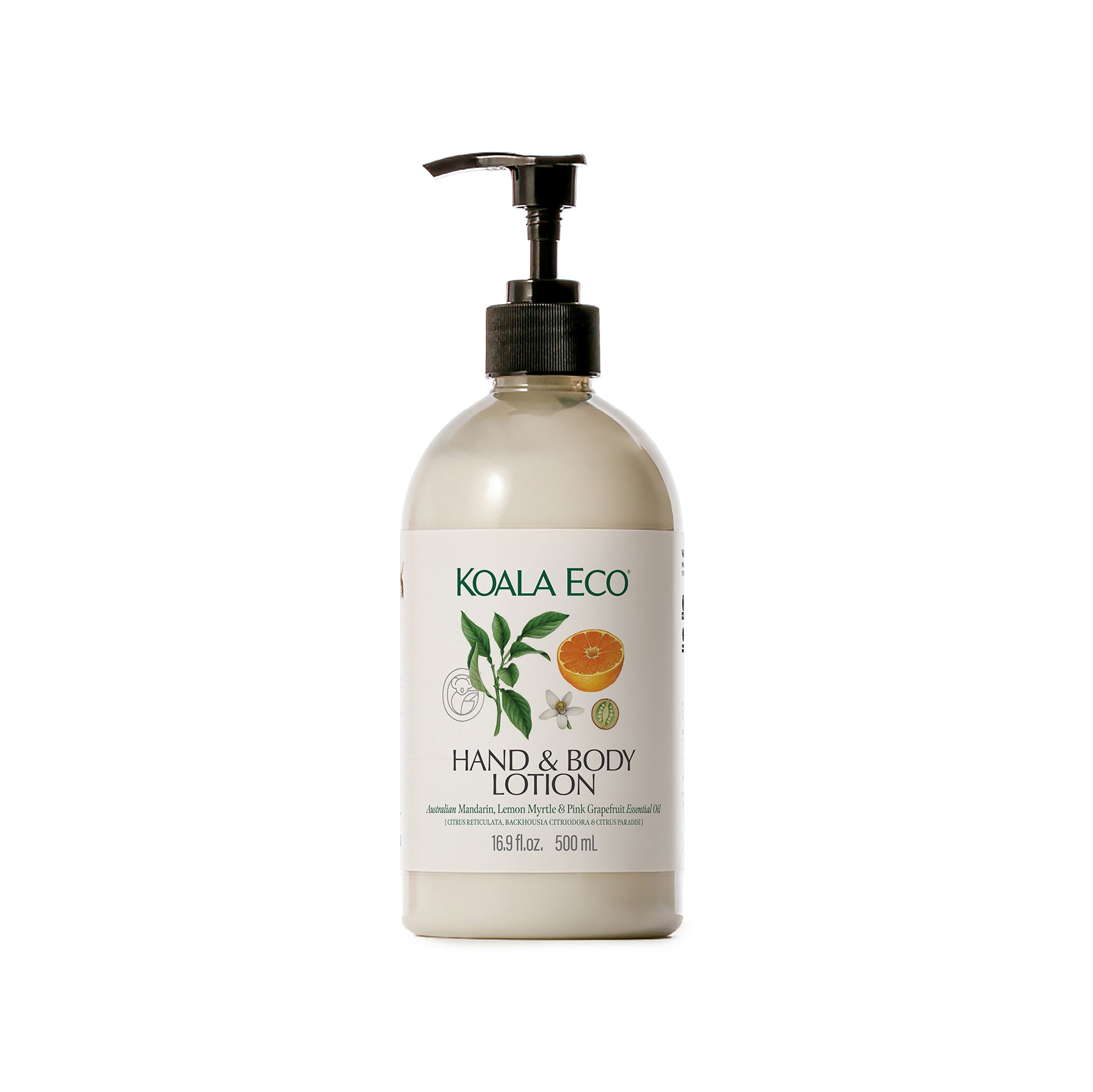 Hand & Body Lotion