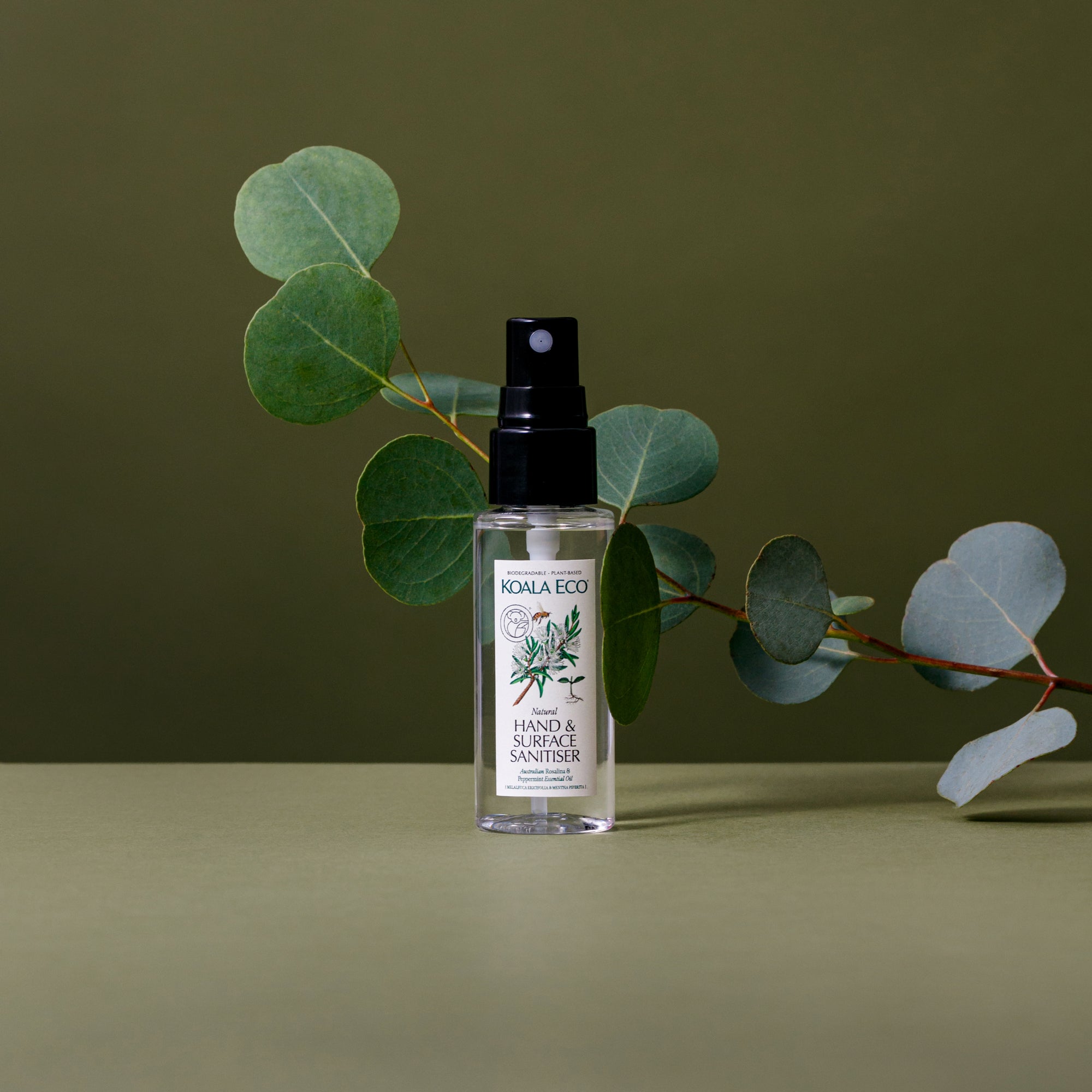 Natural Hand &amp; Surface Spray - Travel Size