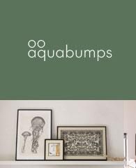 Aquabumps logo above framed artwork on a shelf.