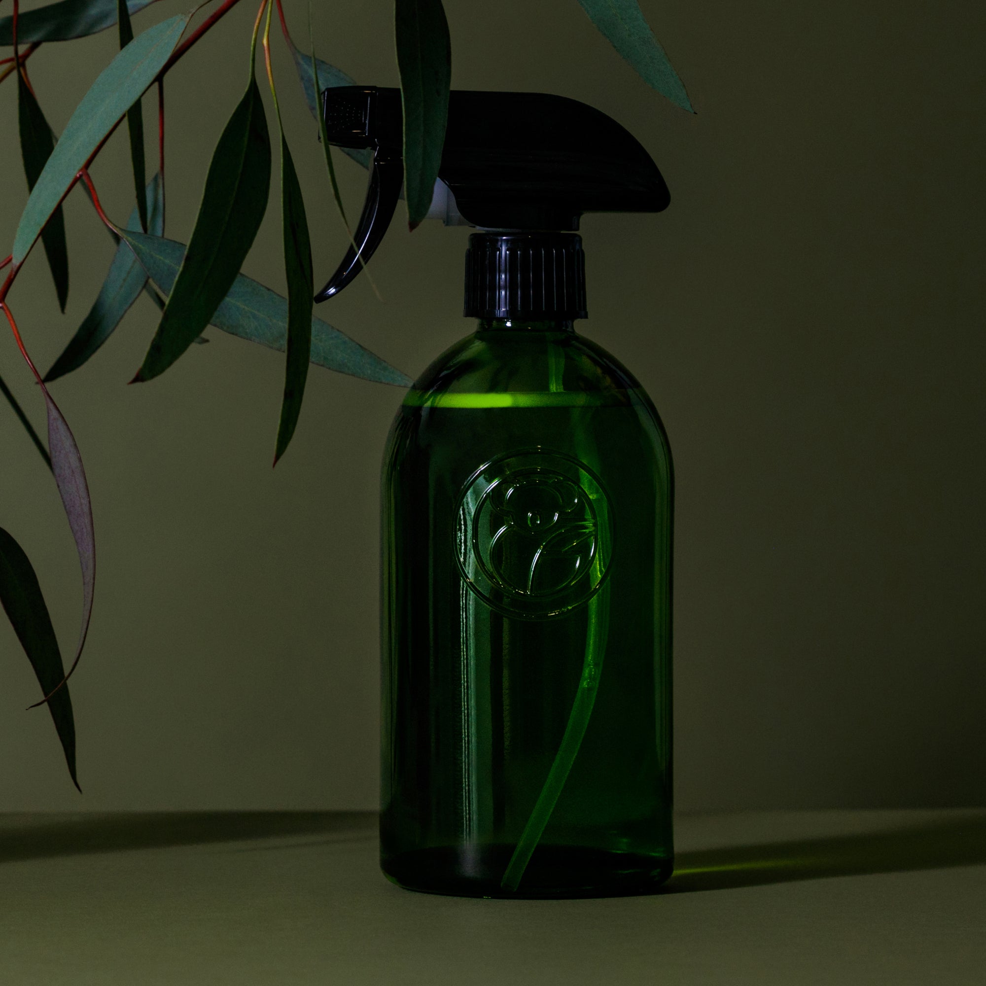 Free Case of Apothecary Glass Bottles